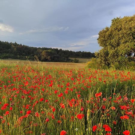 Gite A La Campagne, Proche Carcassonne Alairac Zewnętrze zdjęcie