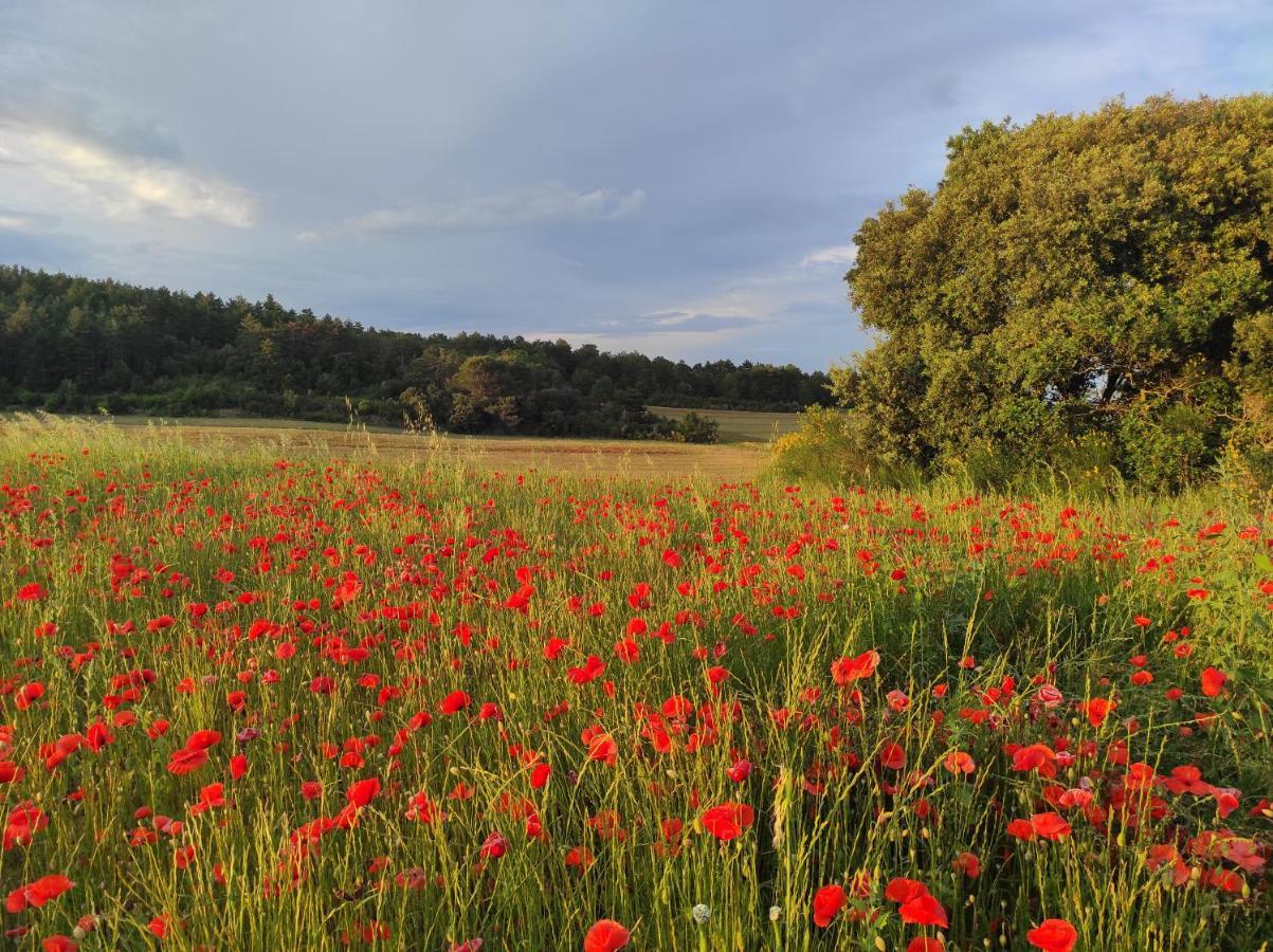 Gite A La Campagne, Proche Carcassonne Alairac Zewnętrze zdjęcie